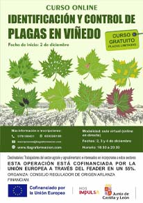 Identificación y control de plagas en viñedo