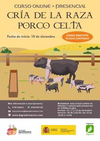 Cría de la raza Porco Celta