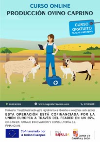Producción ovino caprino