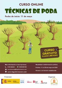 Técnicas de poda