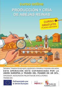 Producción y cría de reinas