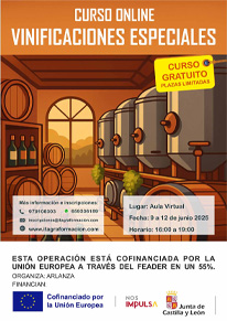 Vinificaciones especiales