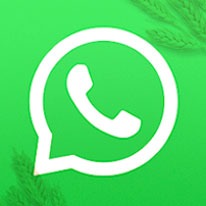 WhatsApp Logo