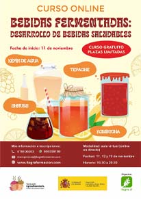 Bebidas fermentadas: Desarrollo de bebidas saludables