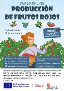 Producción de frutos rojos