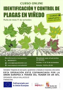Identificación y control de plagas en viñedo