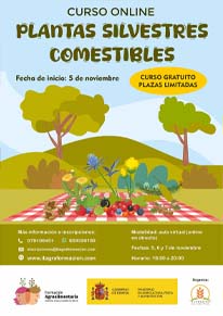 Plantas silvestres comestibles