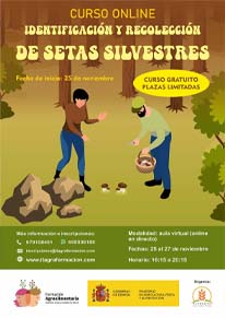 Identificación y recolección de setas silvestres