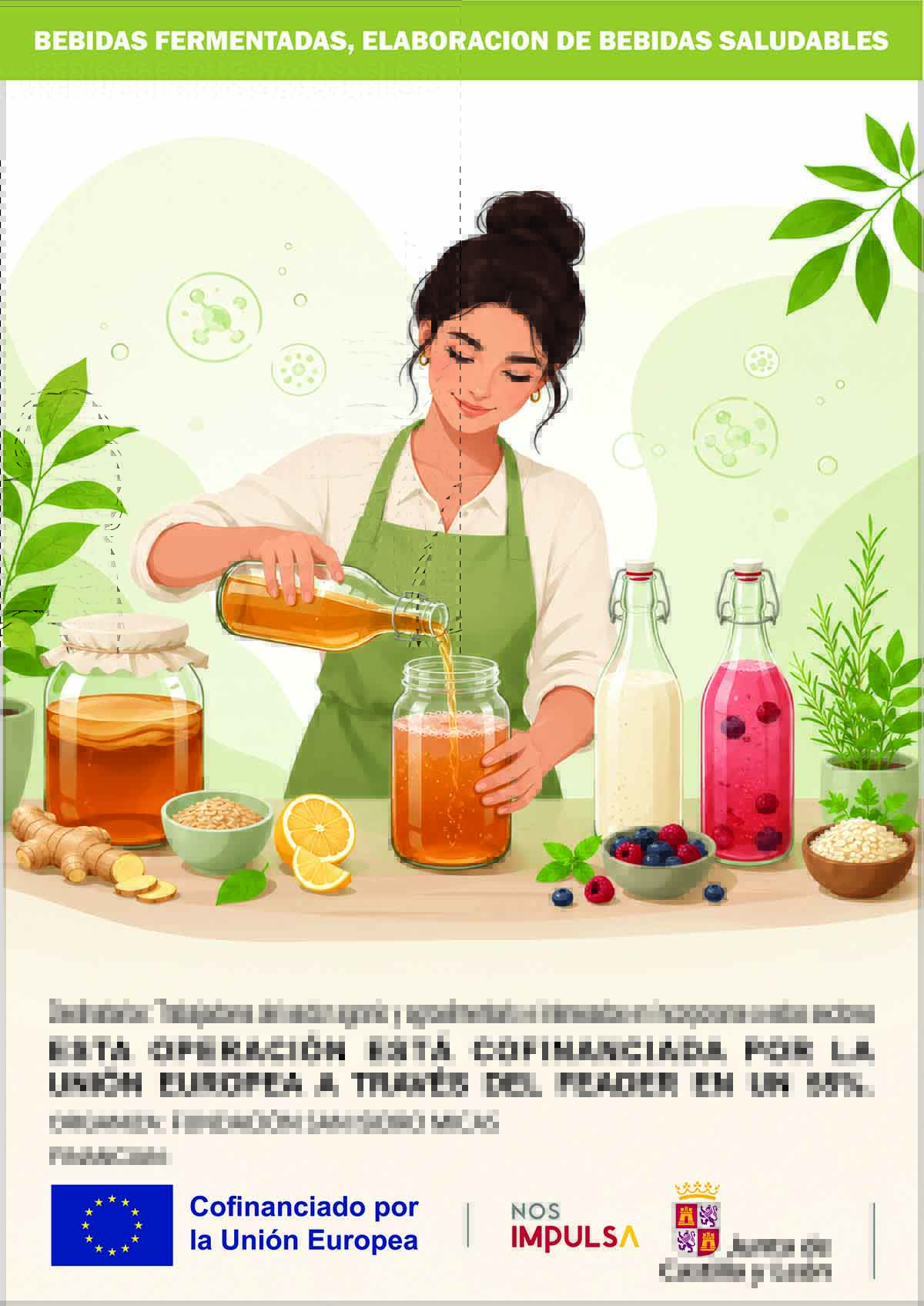 Bebidas fermentadas