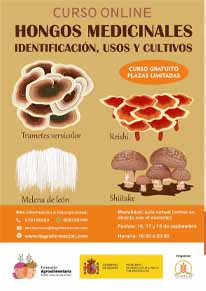 Hongos medicinales, identificación, usos y cultivo