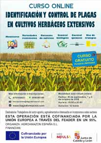 Identificación y control de plagas en cultivos herbáceos extensivos