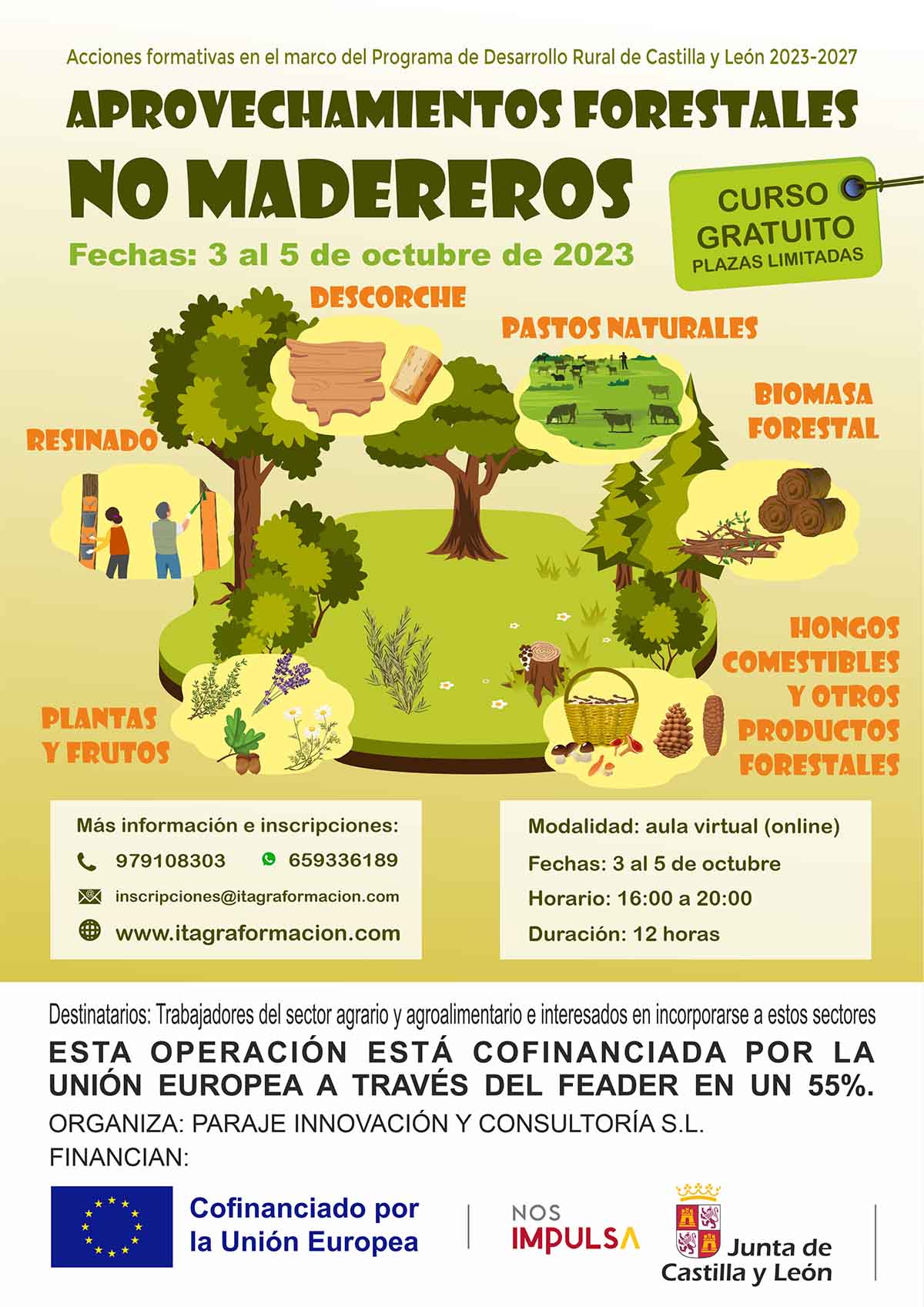 Aprovechamientos forestales no madereros