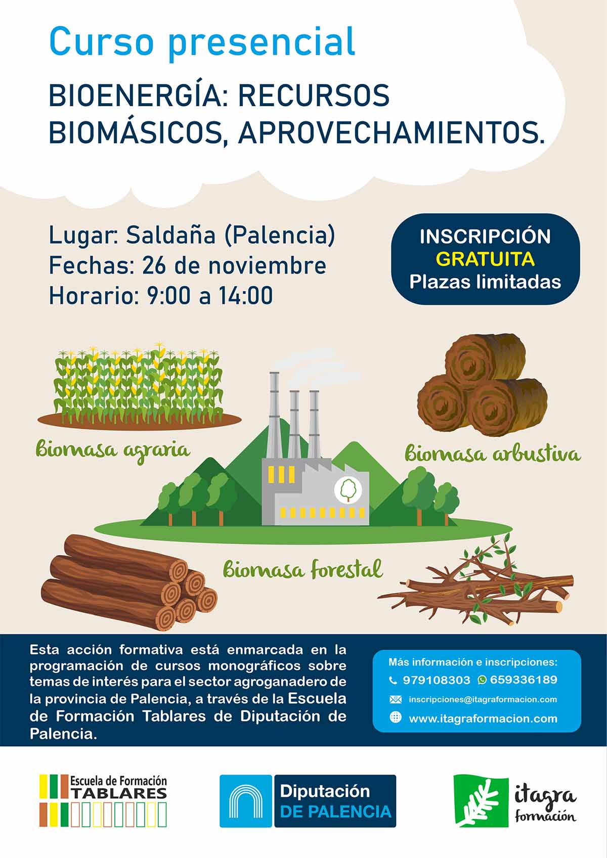 Bionergía: recursos biomásicos, aprovechamiento