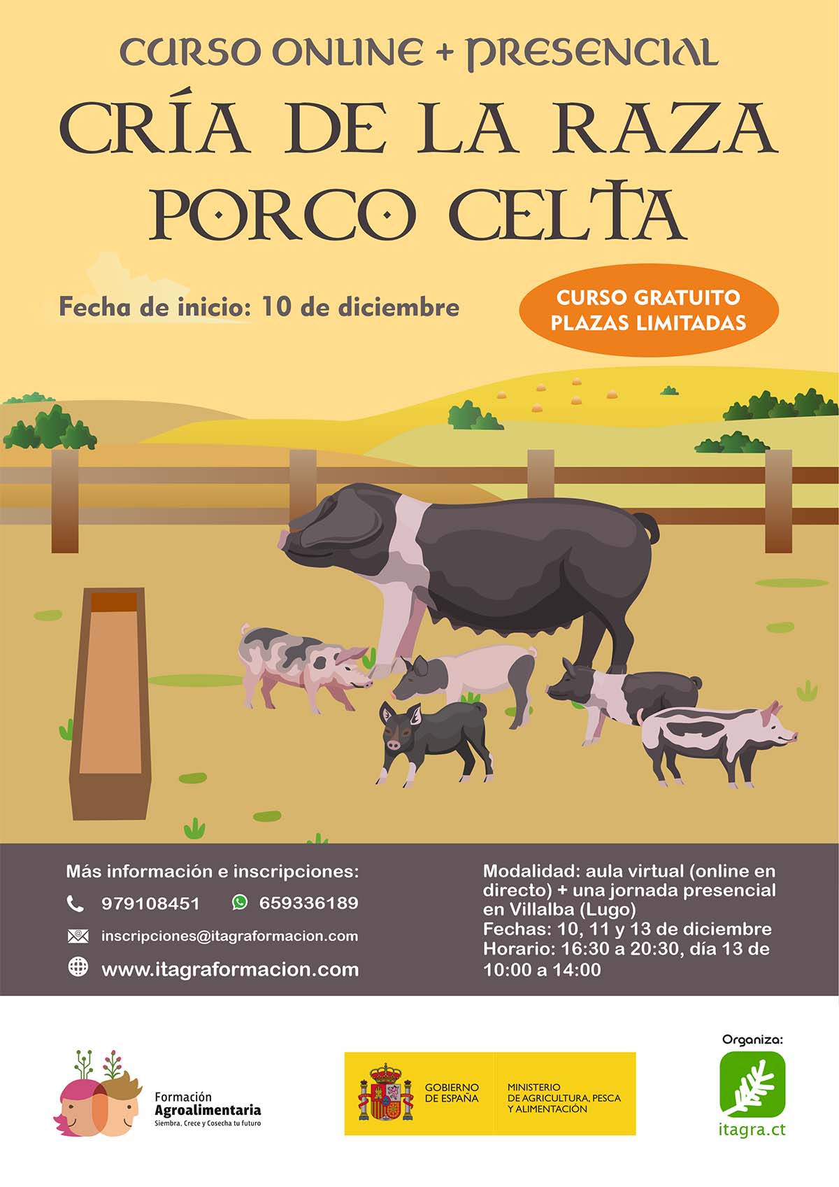 Cría de la raza Porco Celta