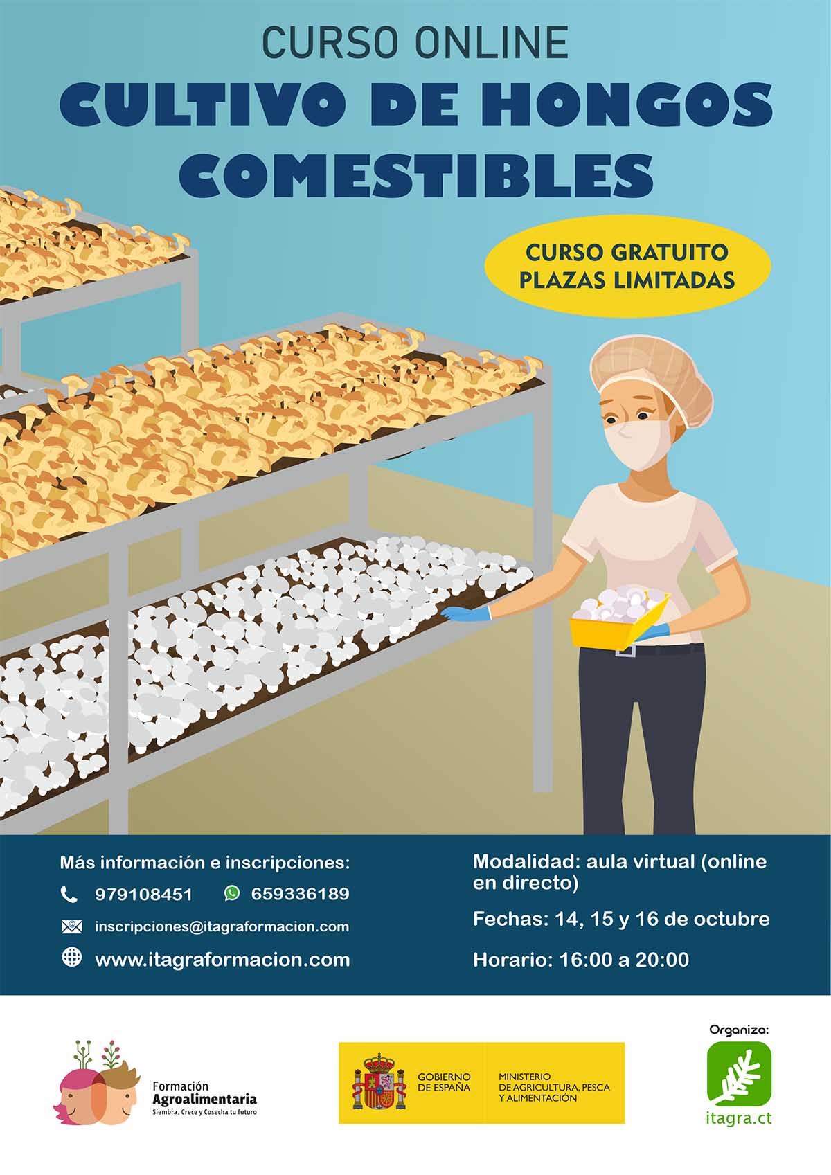 Cultivo de hongos comestibles