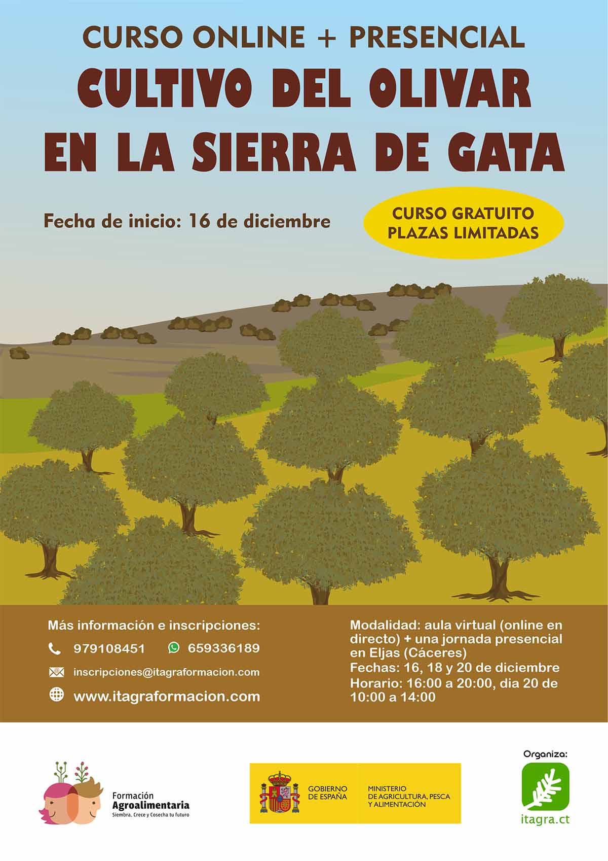 Cultivo del olivar en la Sierra de Gata