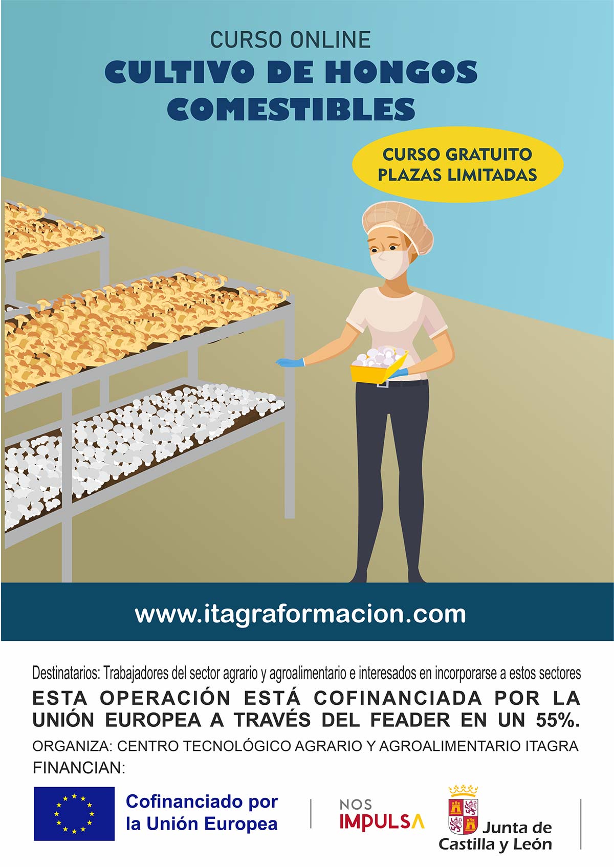 Cultivo de hongos comestibles