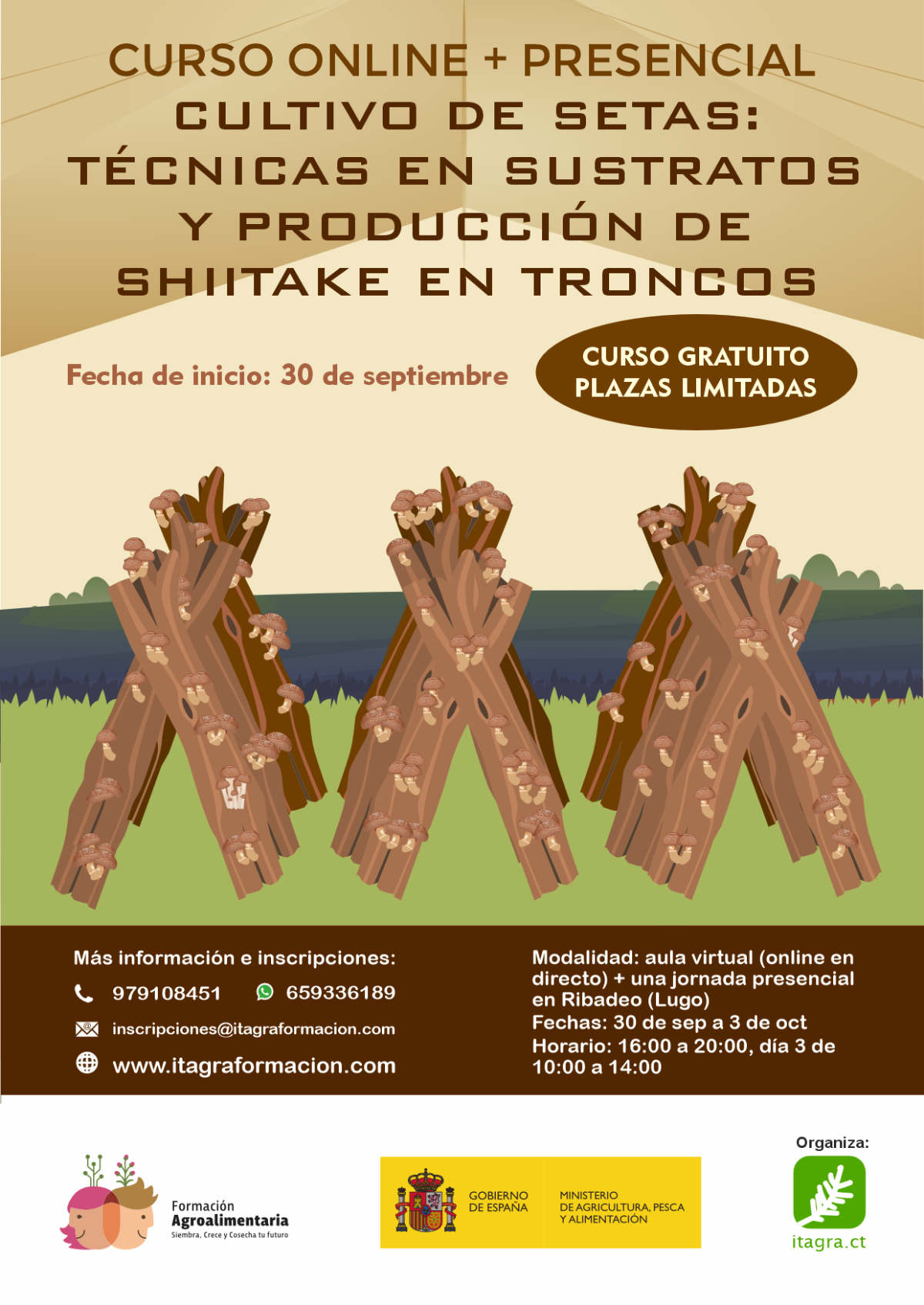 Cultivos de setas: técnicas en sustratos y producción de shiitake en troncos