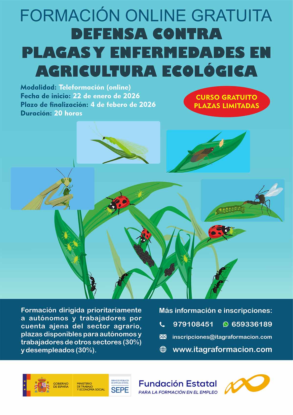 Defensa contra plagas y enfermedades en agricultura ecológica