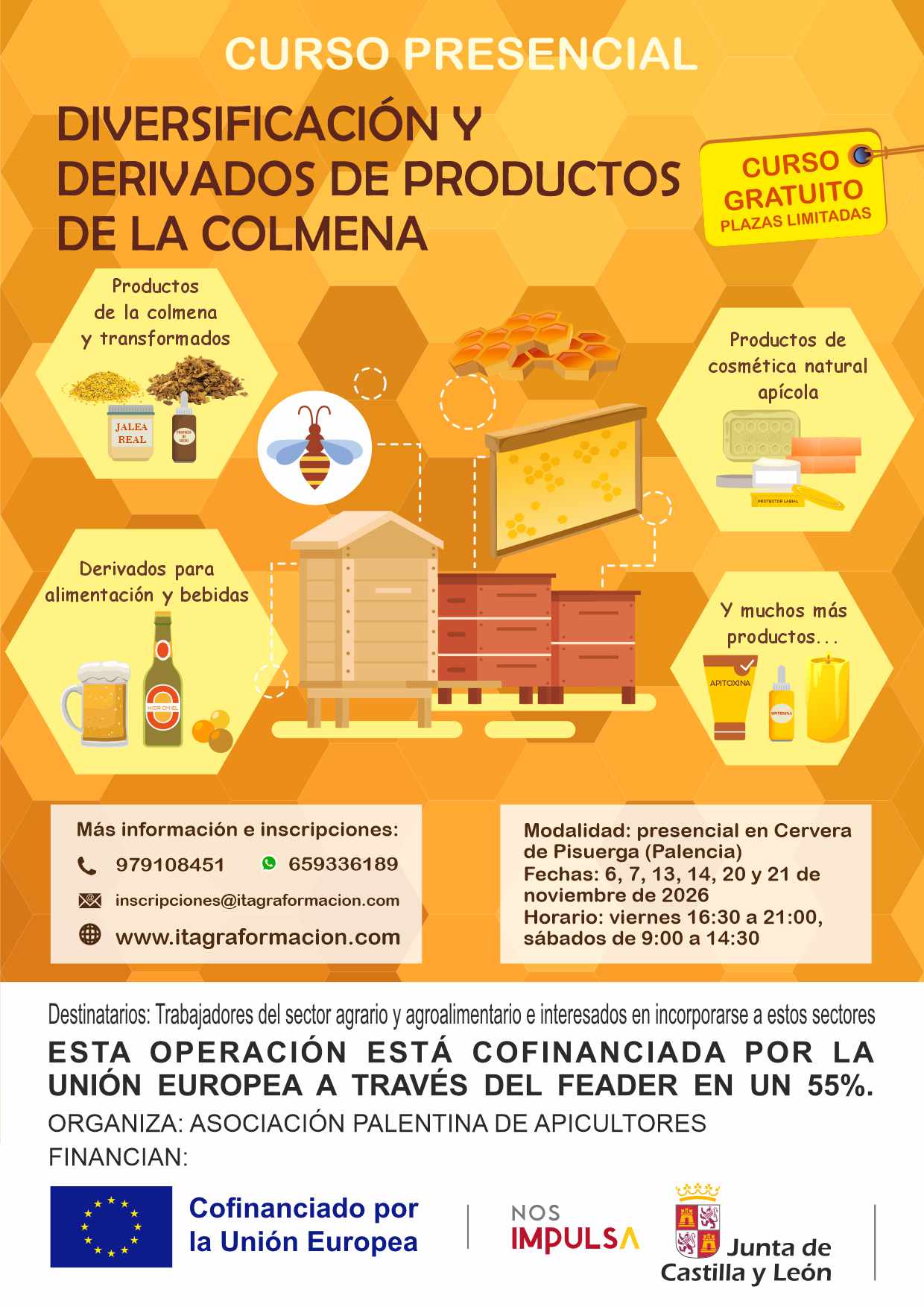 Diversificación y derivados de productos de la colmena