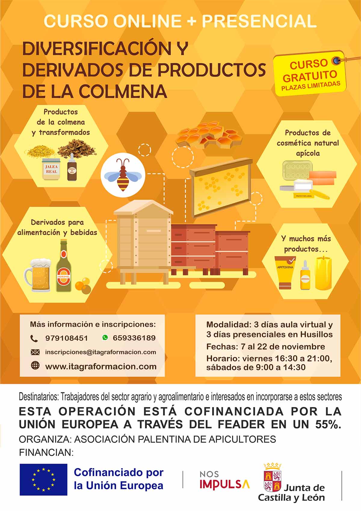 Diversificación y derivados de productos de la colmena