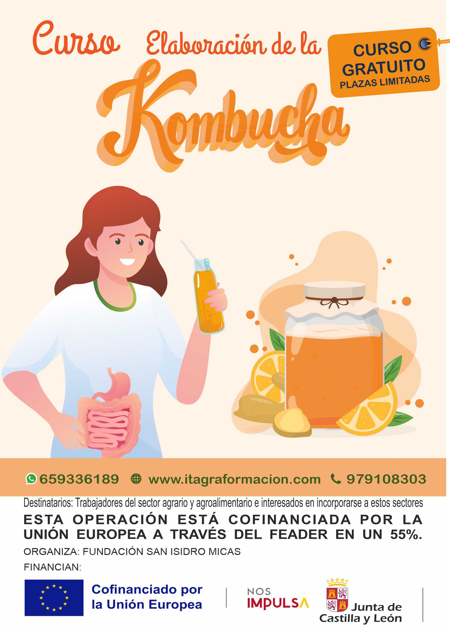 Elaboración de la kombucha