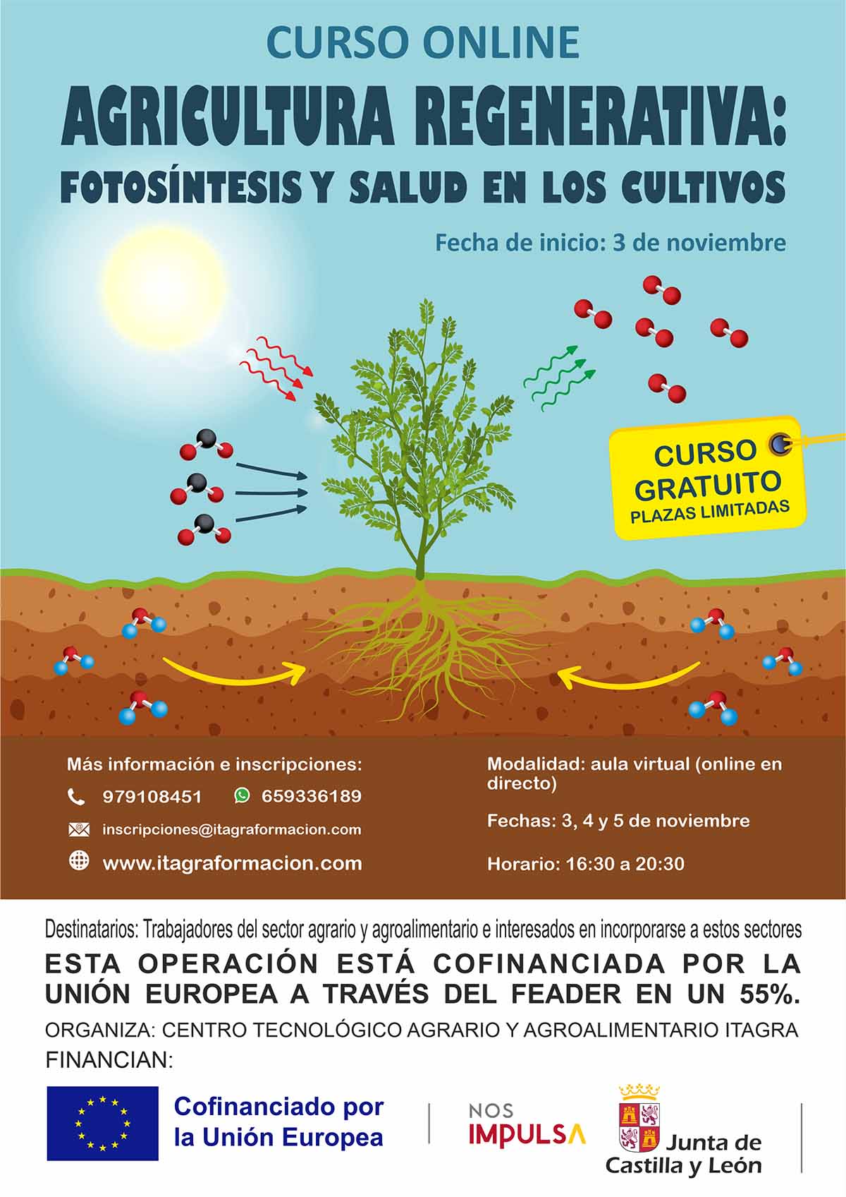 Agricultura regenerativa: fotosíntesis y salud en los cultivos