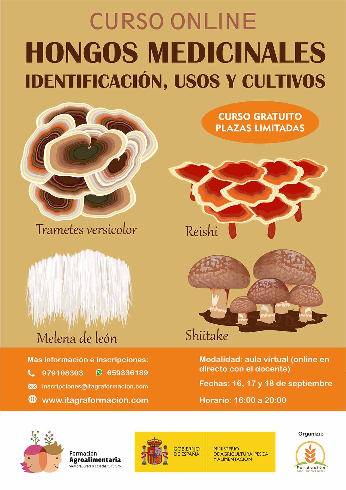 Hongos medicinales, identificación, usos y cultivo