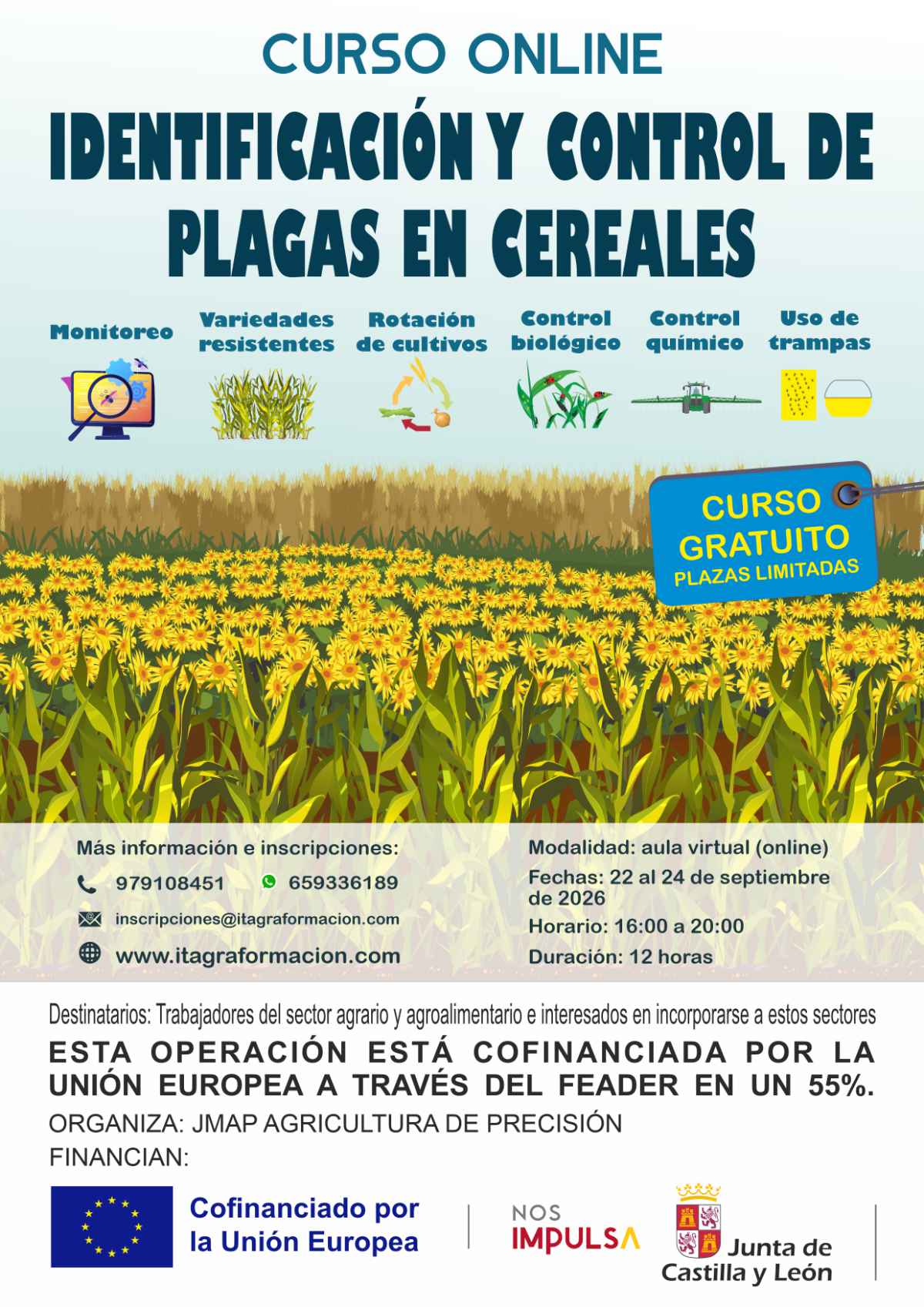 Identificación y control de plagas en cereales