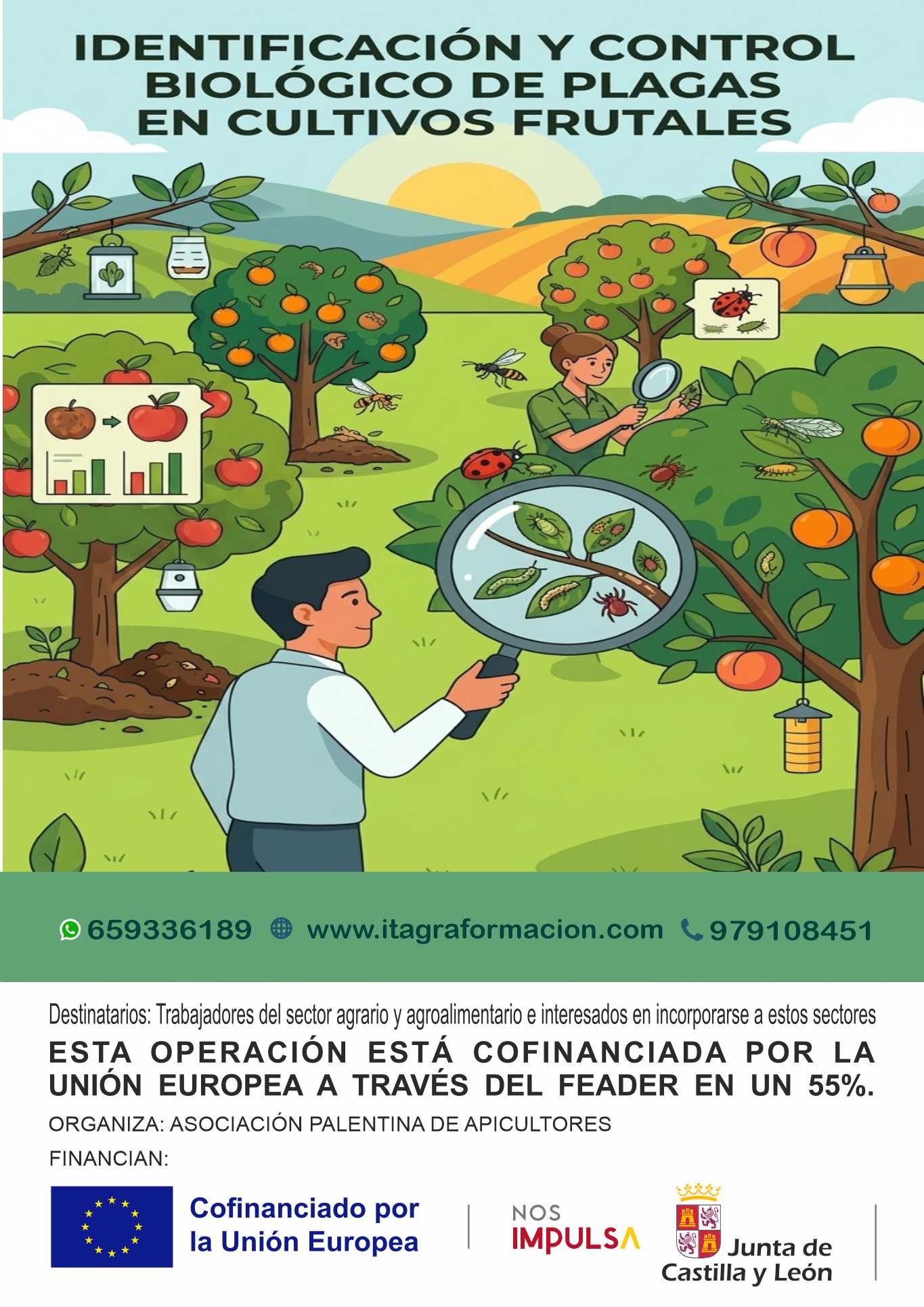 Identificación y control biológico de plagas en cultivos frutales 