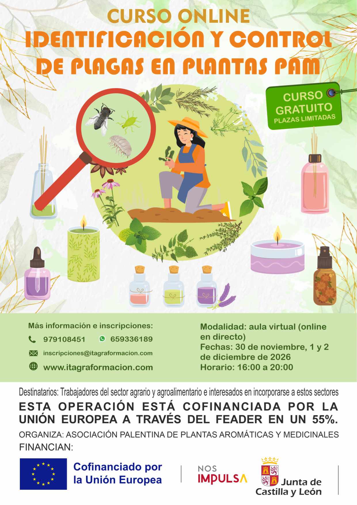Identificación y control de plagas en plantas PAM