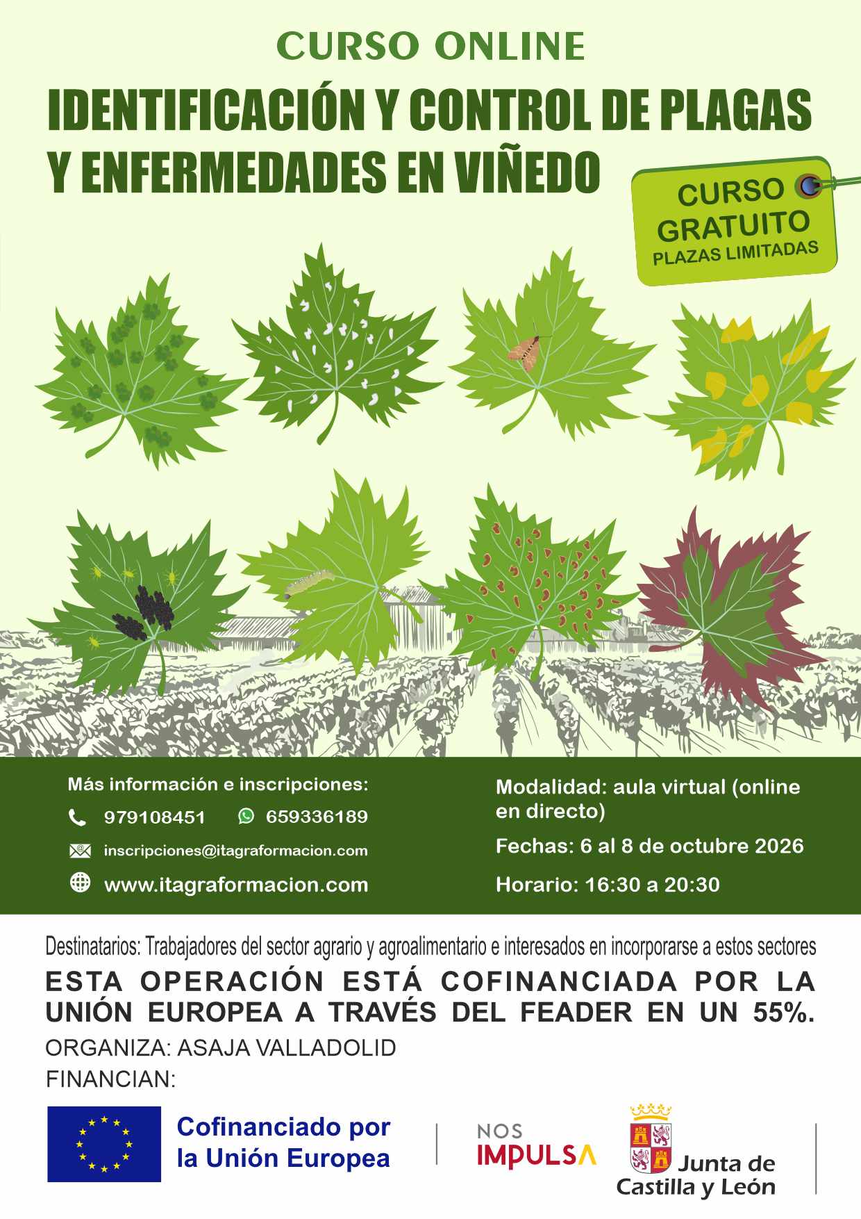 Identificación y control de plagas y enfermedades en el viñedo