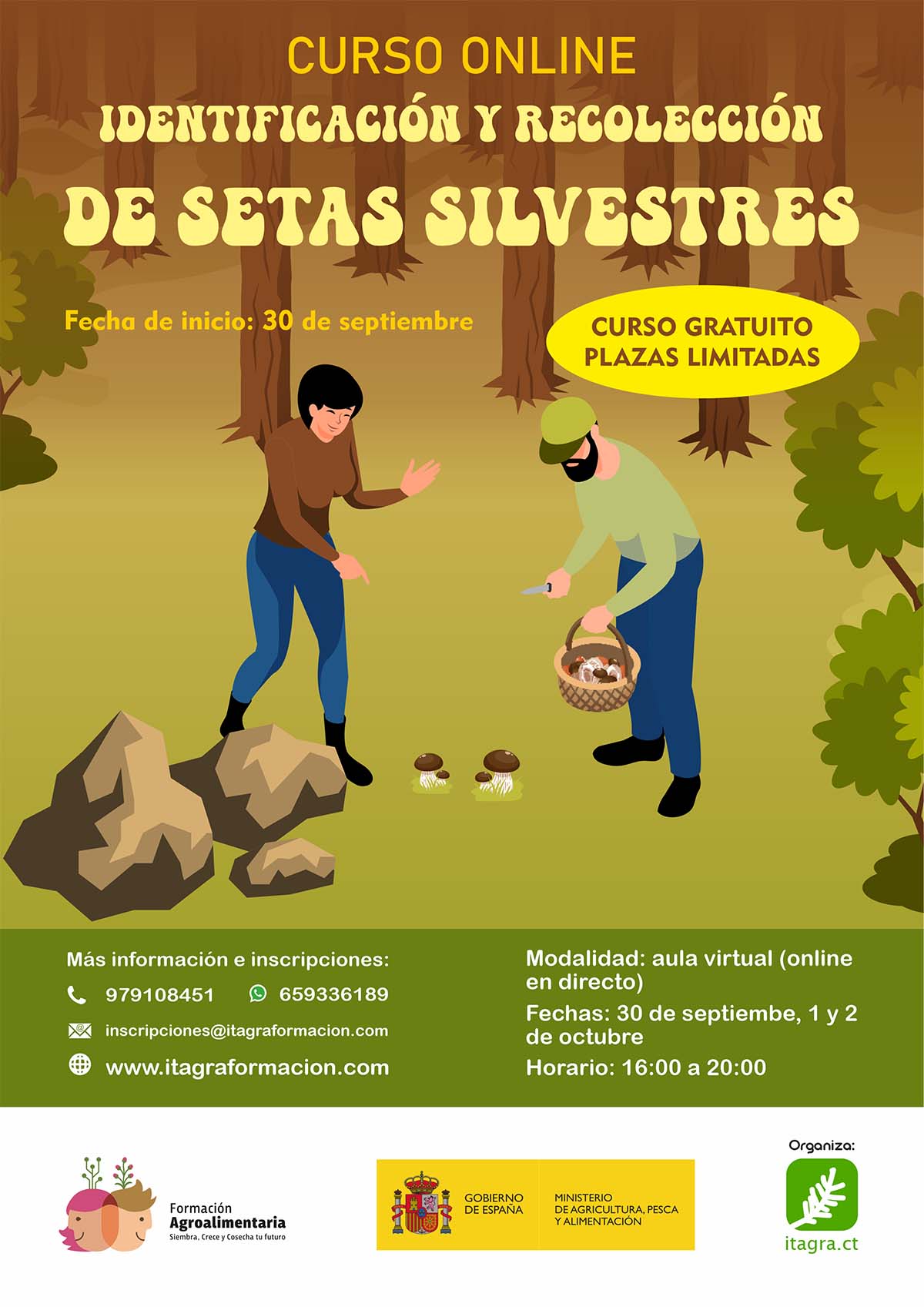 Identificación y recolección de setas silvestres