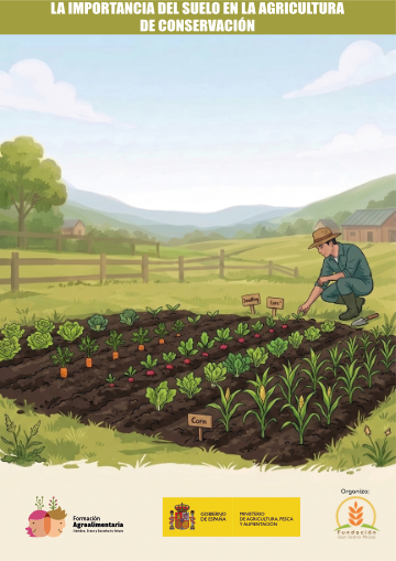 La importancia del suelo en la agricultura de conservación