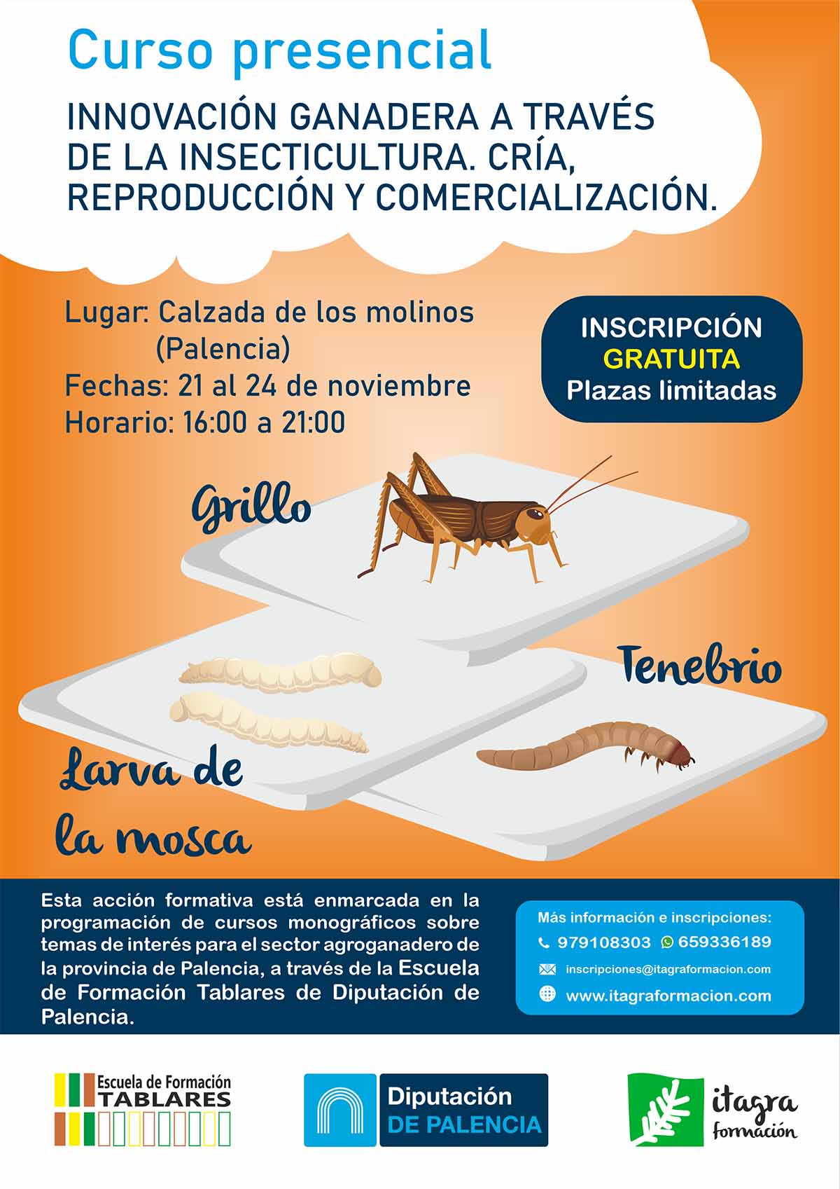 Innovación ganadera a través de la insecticultura. Cría, reproducción y comercialización