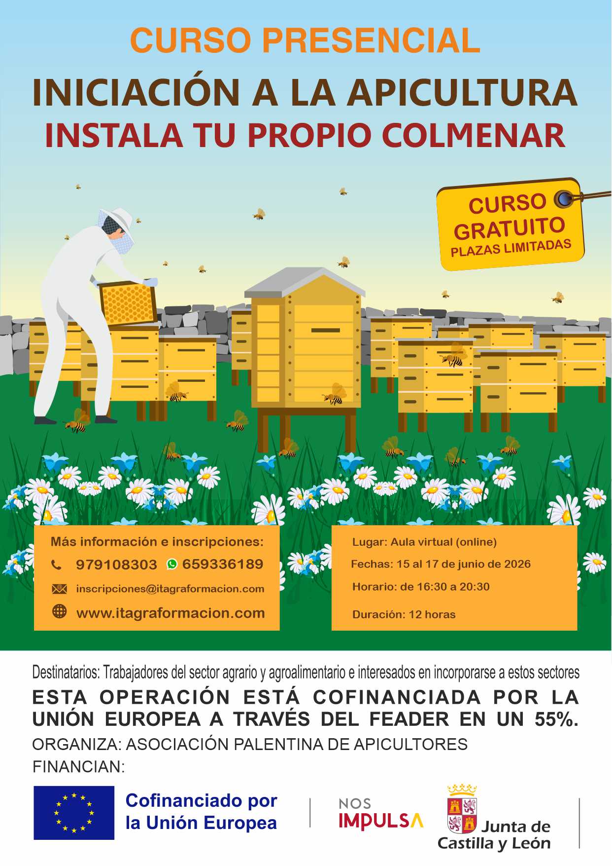Iniciación a la apicultura - Instala tu propio colmenar
