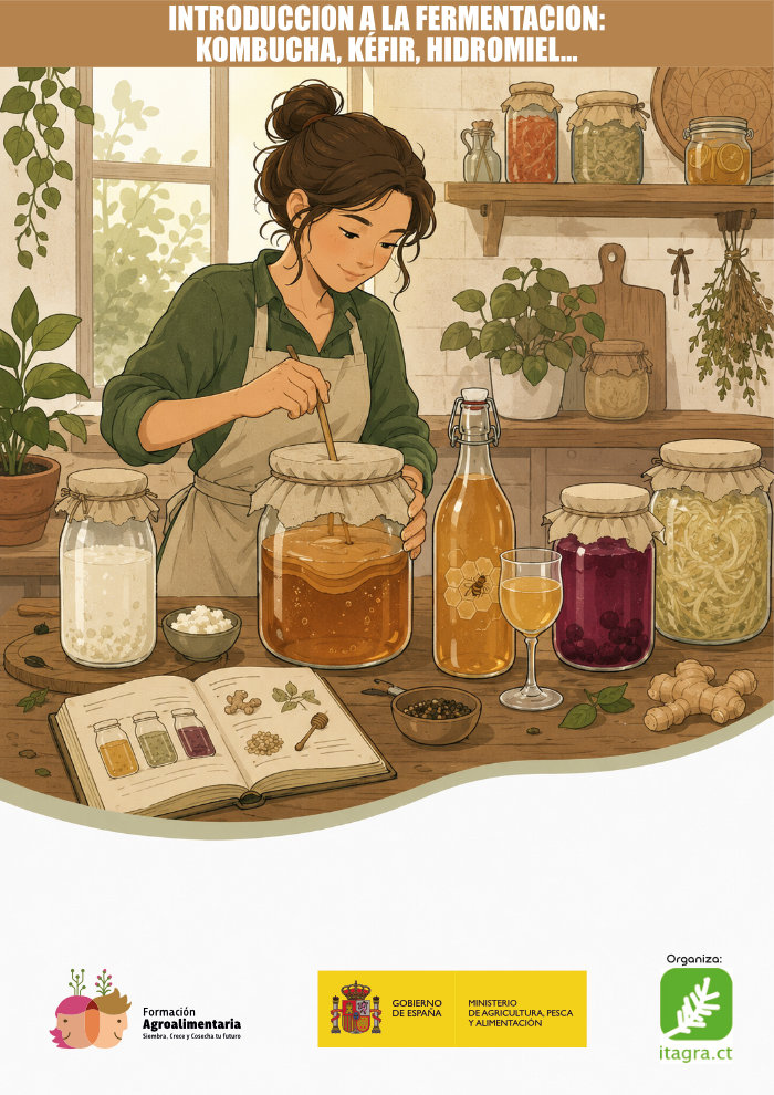 Introducción a la fermentación: kombucha, kéfir, hidromiel y otros fermentados