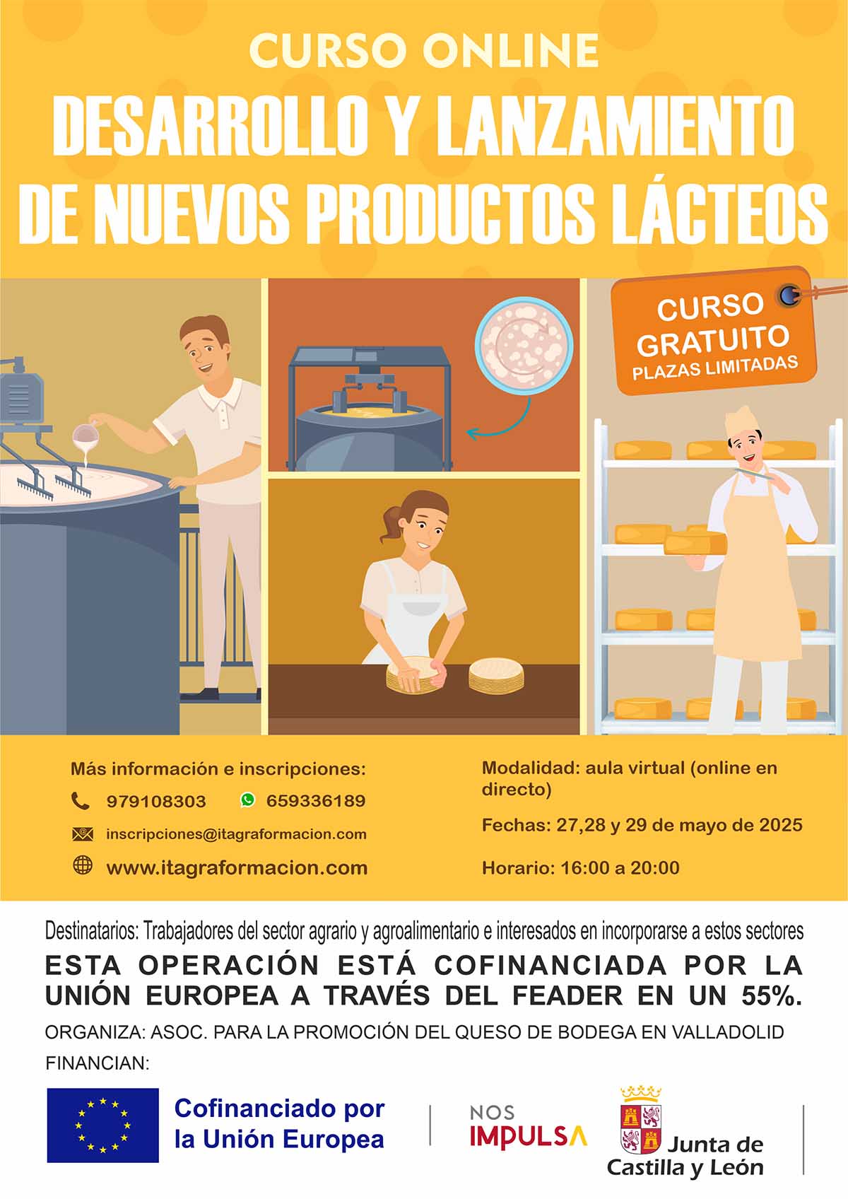 Desarrollo y lanzamiento de nuevos productos lácteos