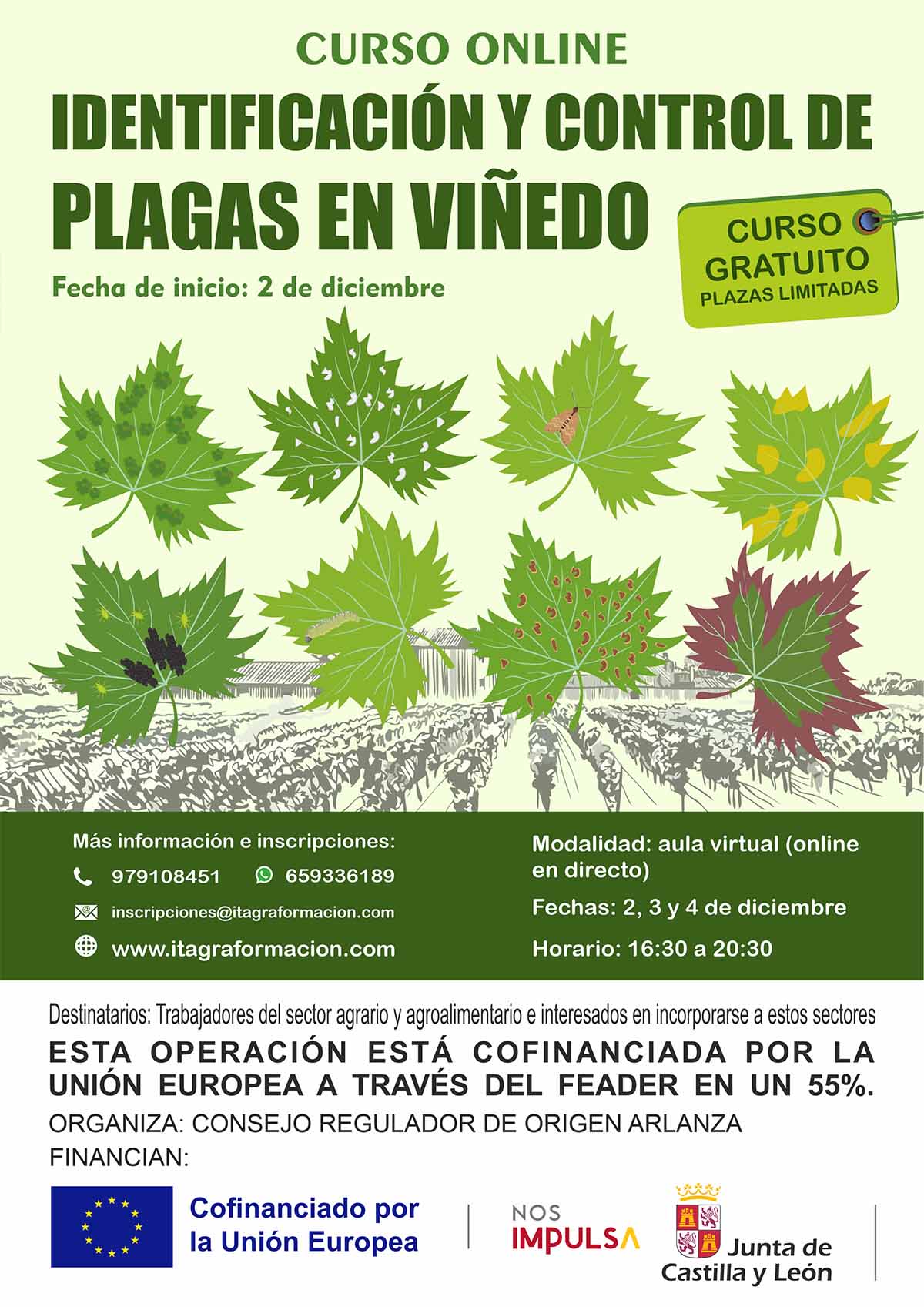 Identificación y control de plagas en viñedo