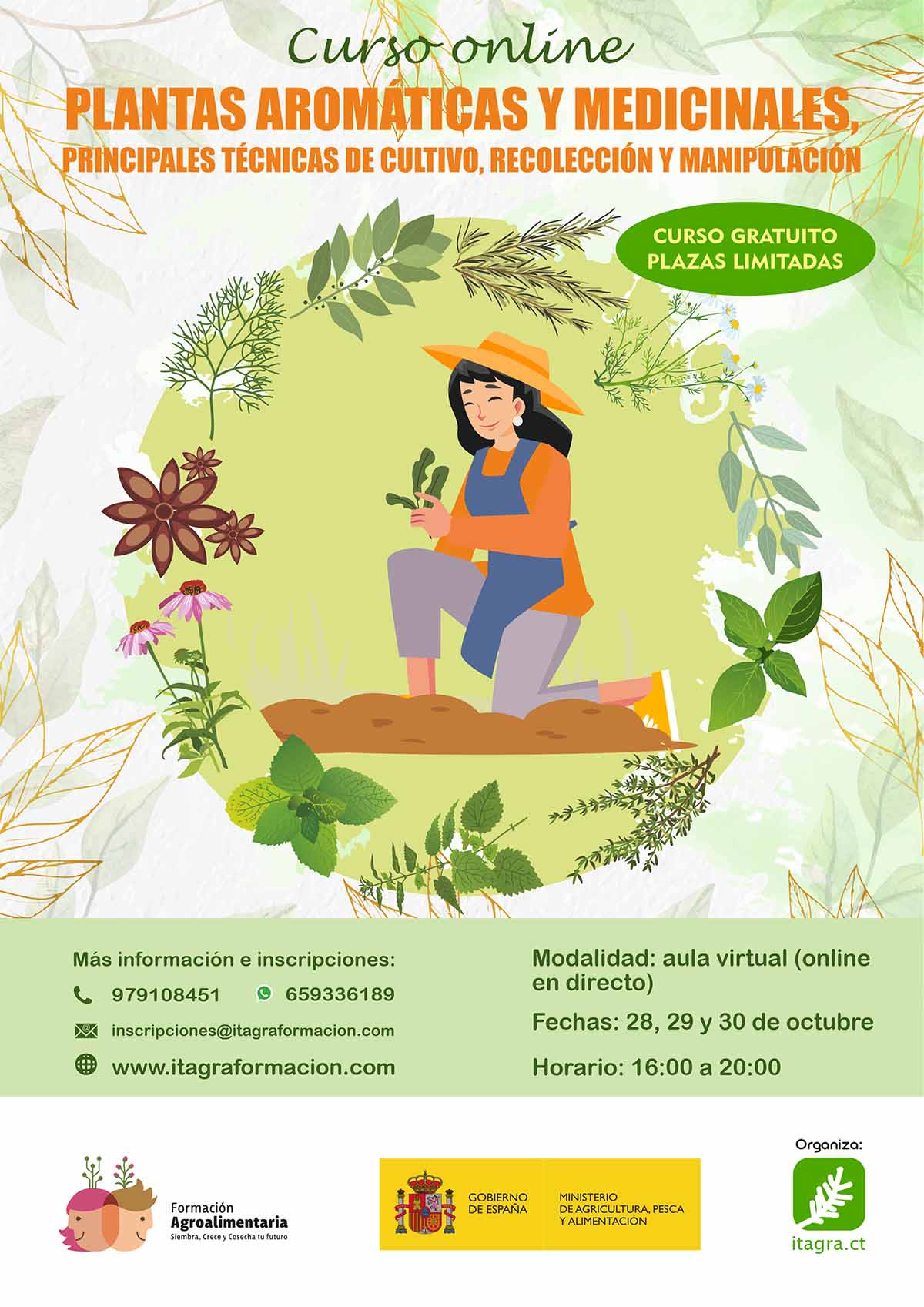 Plantas aromáticas y medicinales: cultivo, recolección y manipulación