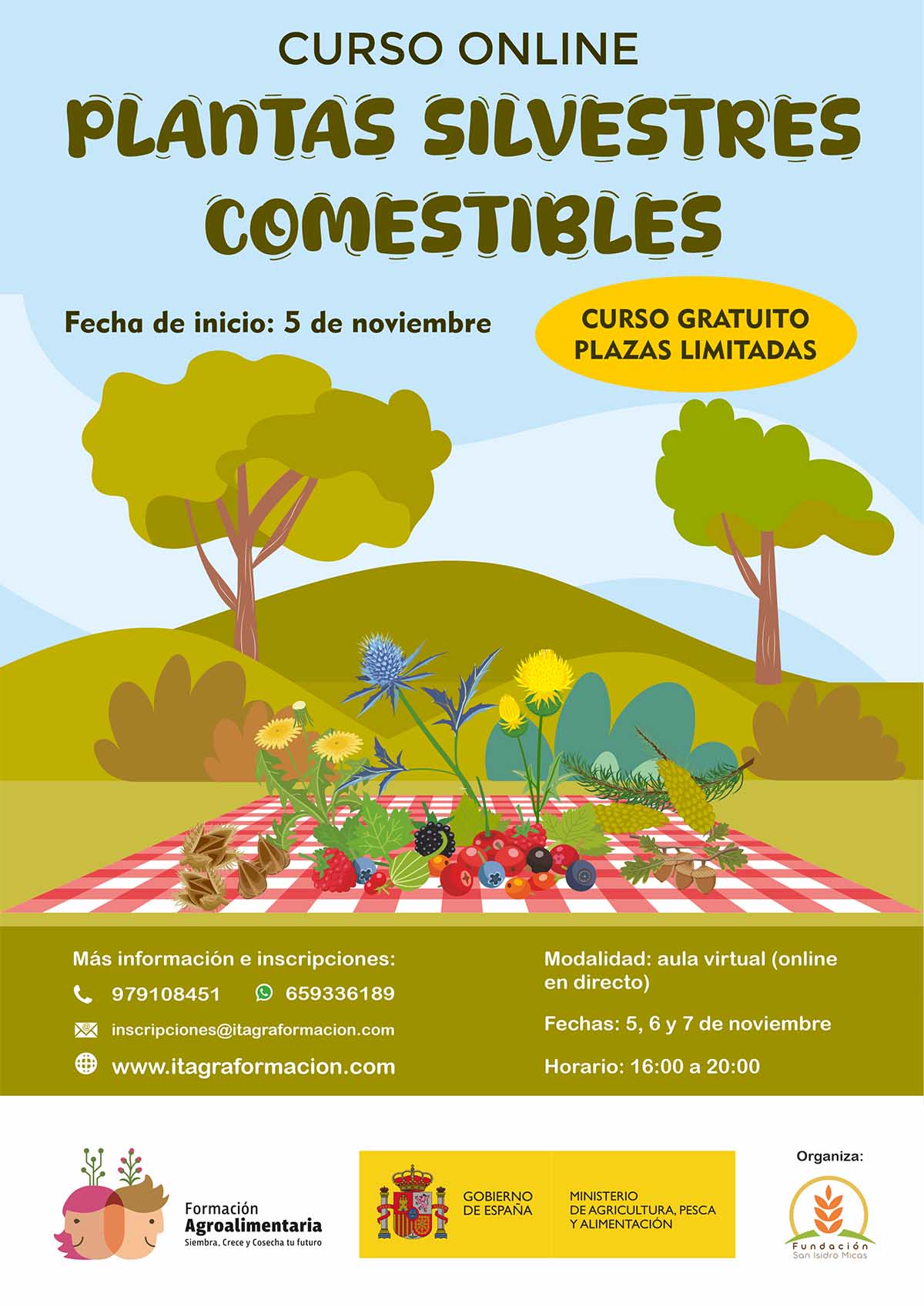 Plantas silvestres comestibles