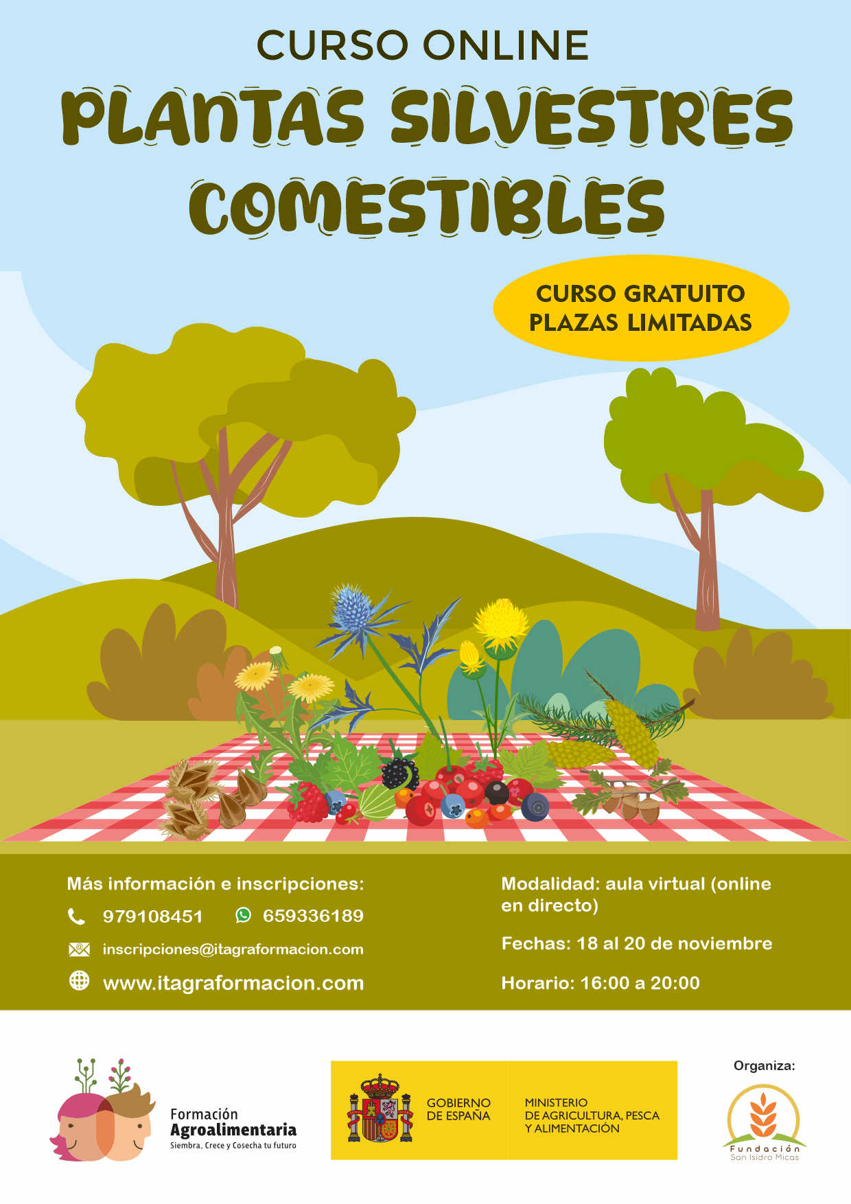 Plantas silvestres comestibles