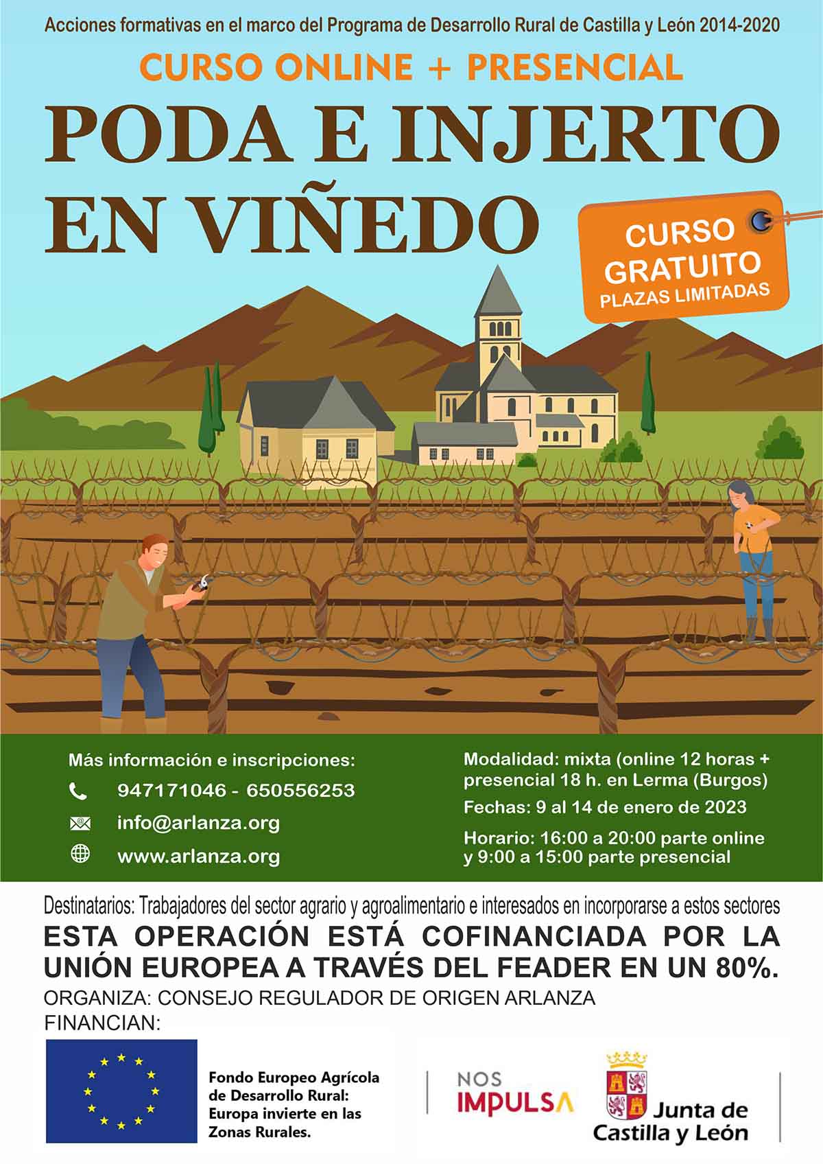 Poda e injerto en viñedo