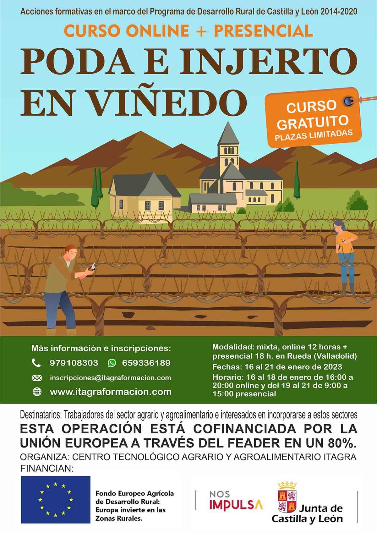 Poda e injerto en viñedo