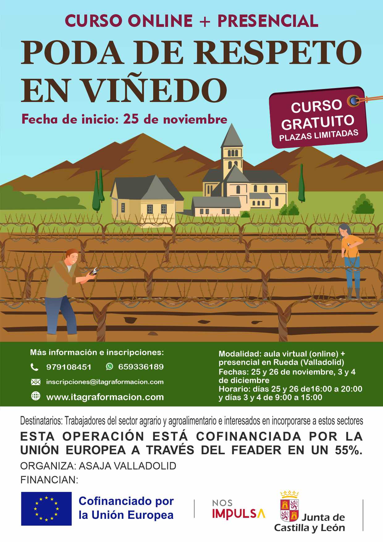 Poda de respeto en viñedo