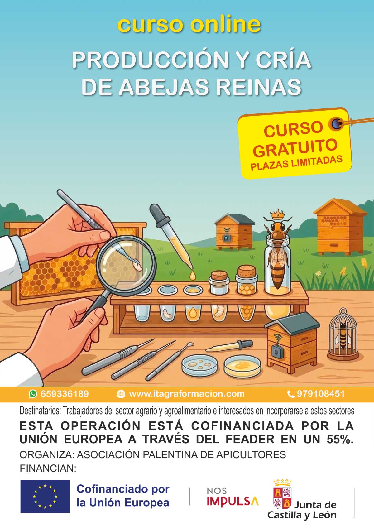 Producción y cría de reinas