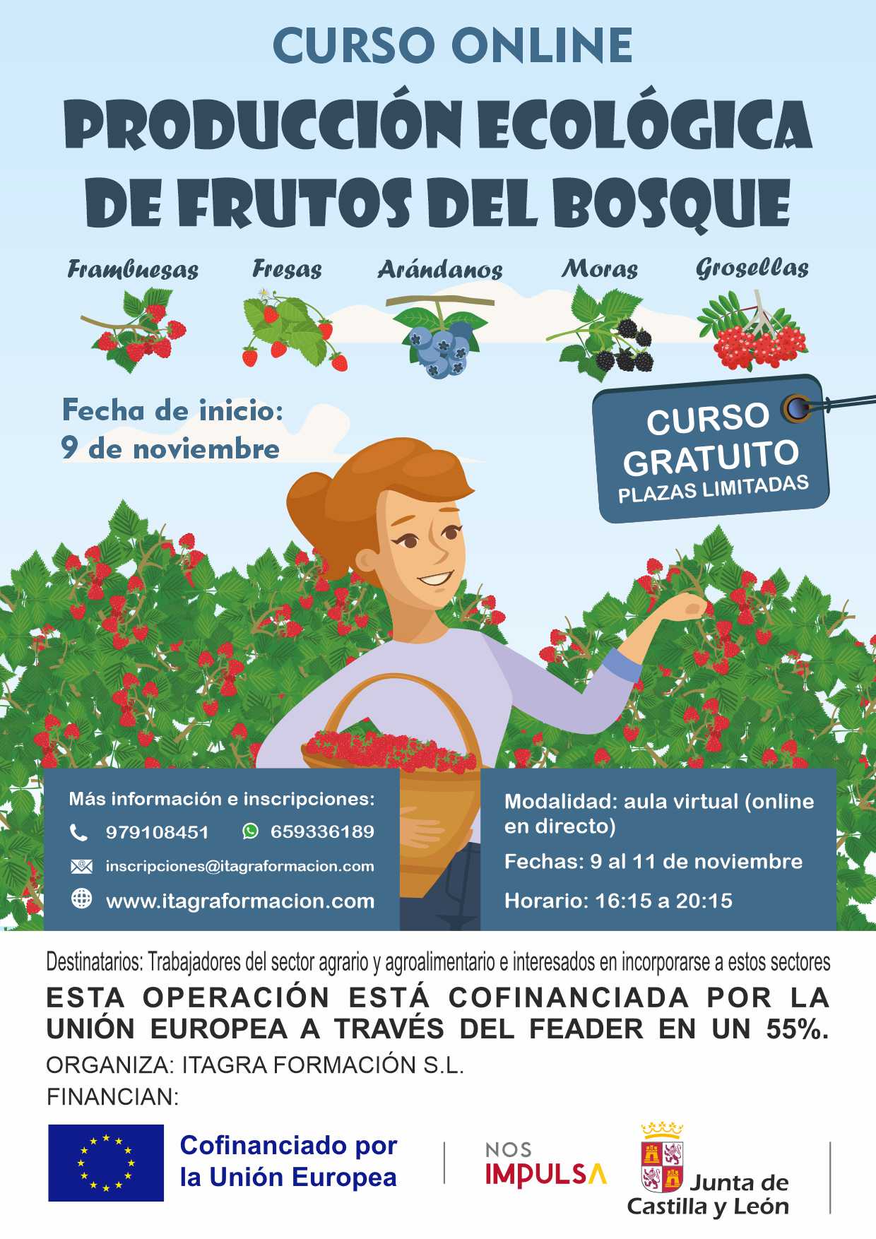 Producción ecológica de frutos del bosque
