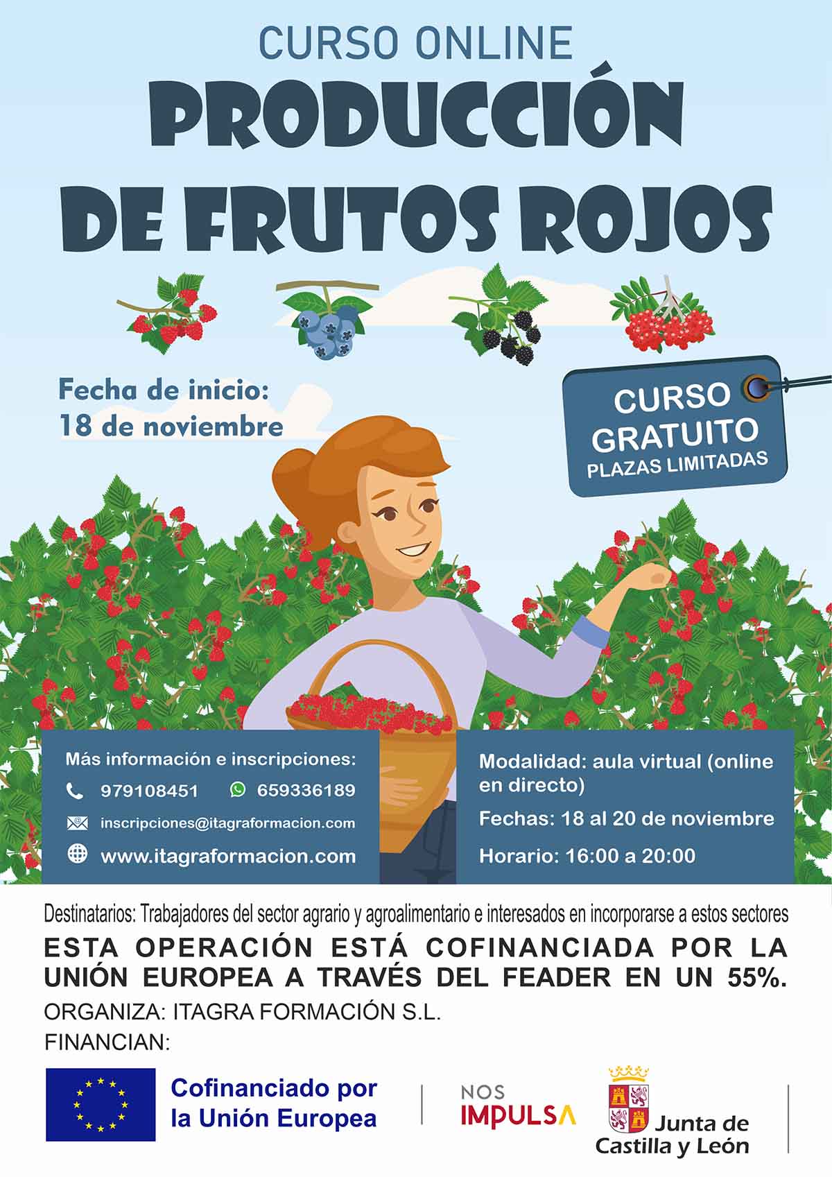 Producción de frutos rojos