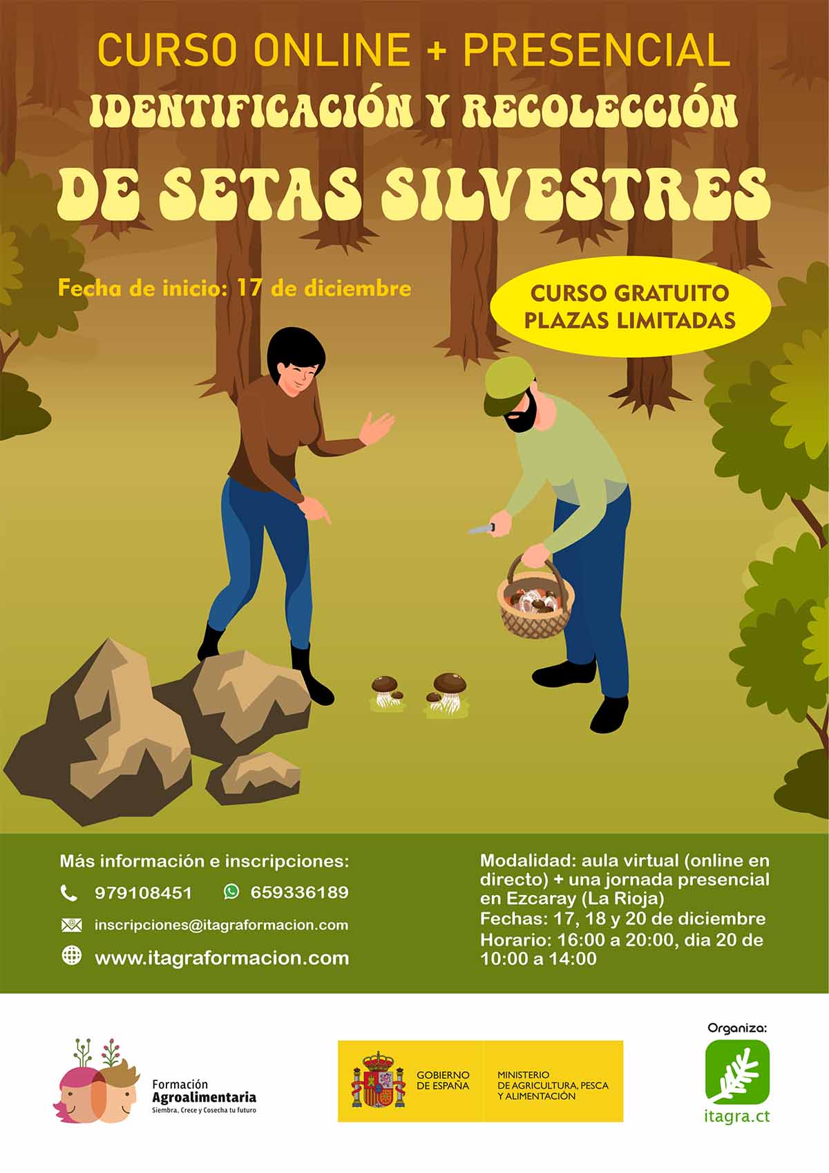 Identificación y recolección de setas silvestres