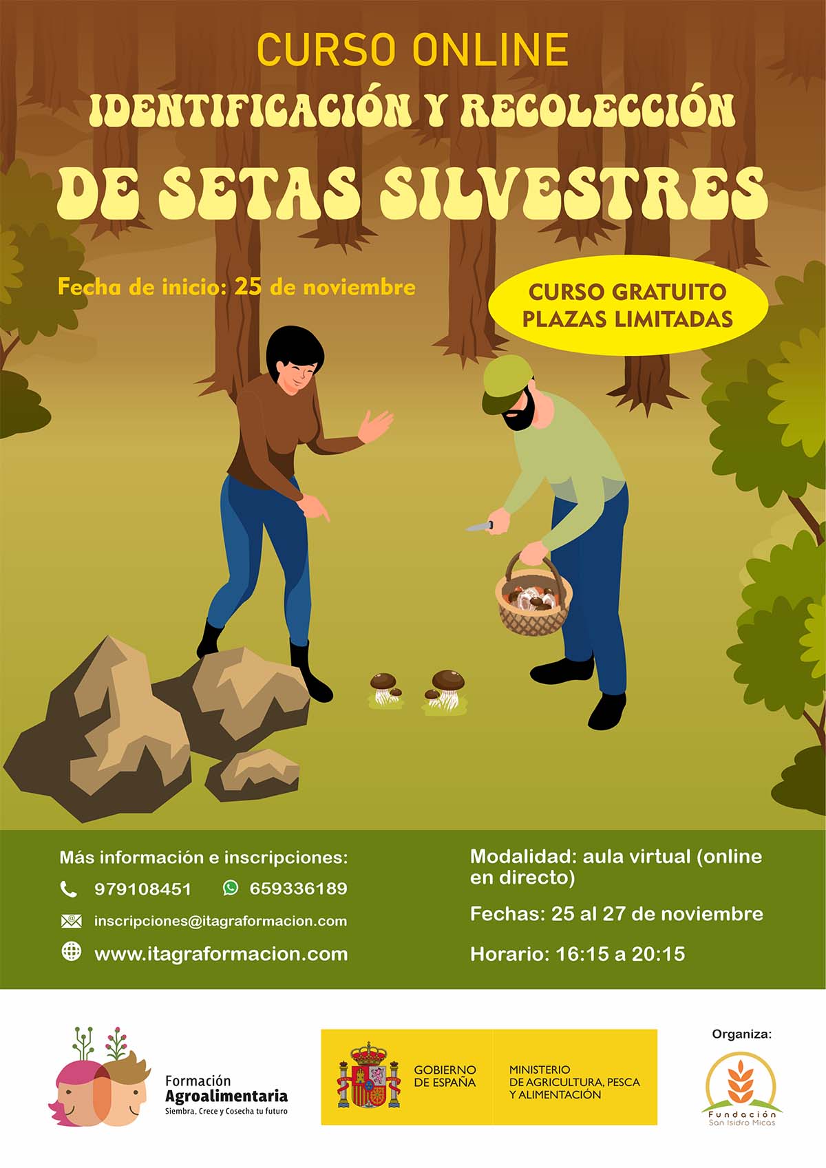 Identificación y recolección de setas silvestres